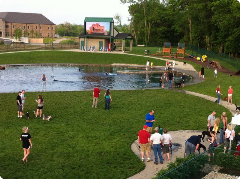 Wags Dog Park